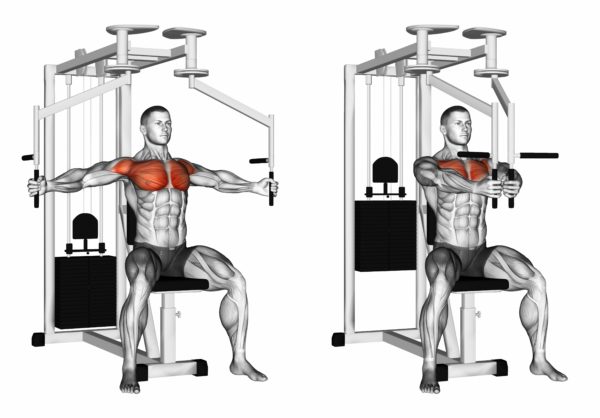 Butterfly Chest Workout