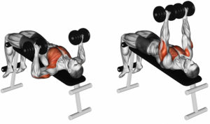 Bench Press With Dumbbells